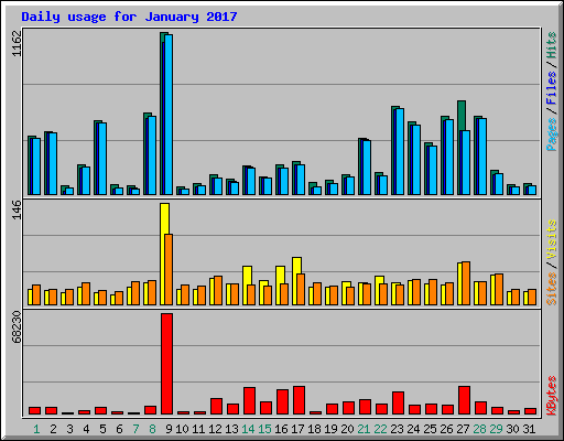 Daily usage for January 2017