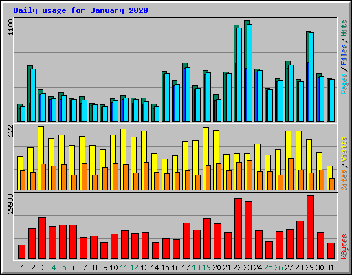 Daily usage for January 2020