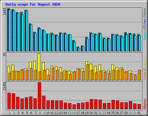 Daily usage for August 2020