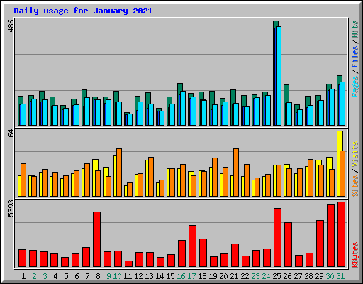 Daily usage for January 2021