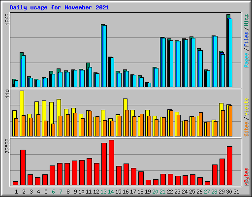 Daily usage for November 2021