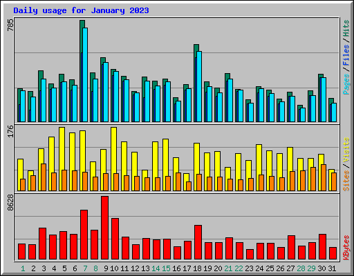 Daily usage for January 2023
