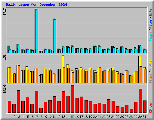 Daily usage for December 2024