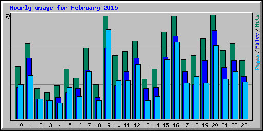 Hourly usage for February 2015