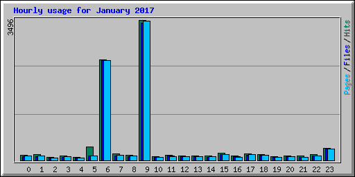 Hourly usage for January 2017