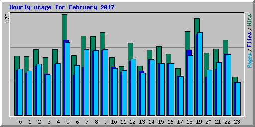 Hourly usage for February 2017