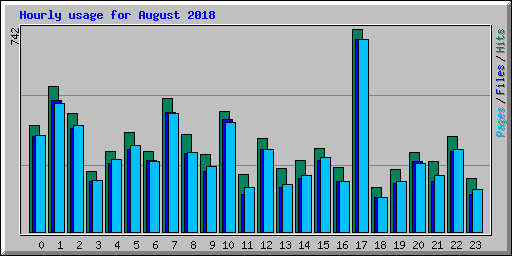 Hourly usage for August 2018