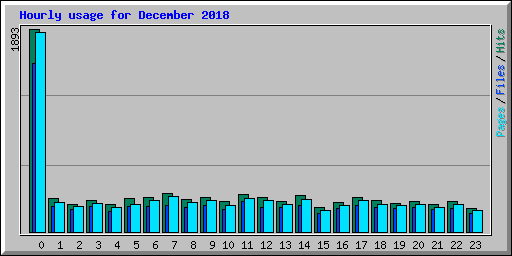Hourly usage for December 2018