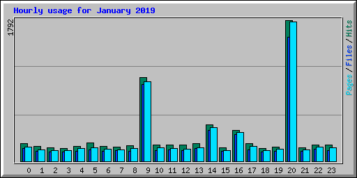 Hourly usage for January 2019