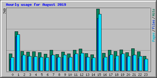 Hourly usage for August 2019