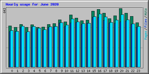 Hourly usage for June 2020