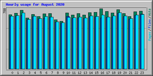 Hourly usage for August 2020