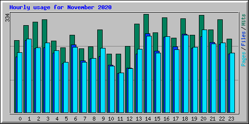 Hourly usage for November 2020