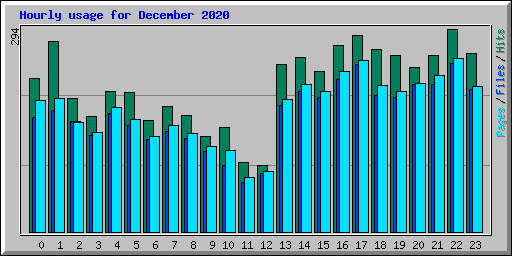 Hourly usage for December 2020