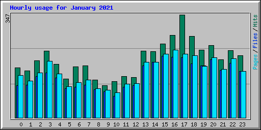 Hourly usage for January 2021