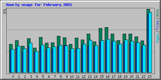 Hourly usage for February 2021
