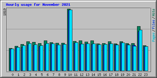 Hourly usage for November 2021