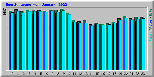 Hourly usage for January 2022