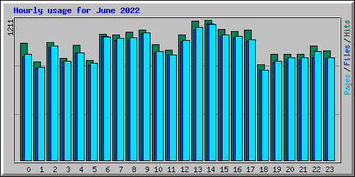 Hourly usage for June 2022