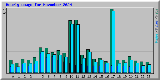 Hourly usage for November 2024