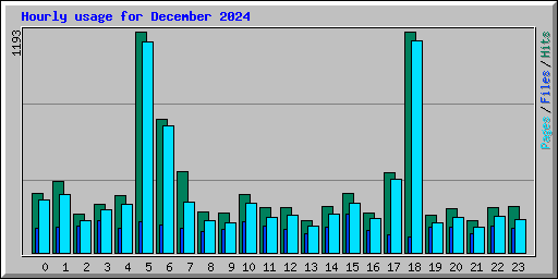 Hourly usage for December 2024