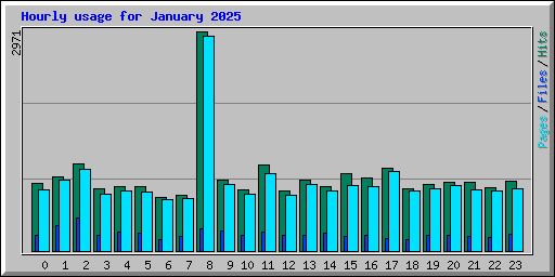 Hourly usage for January 2025