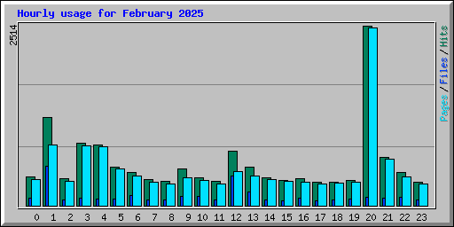 Hourly usage for February 2025